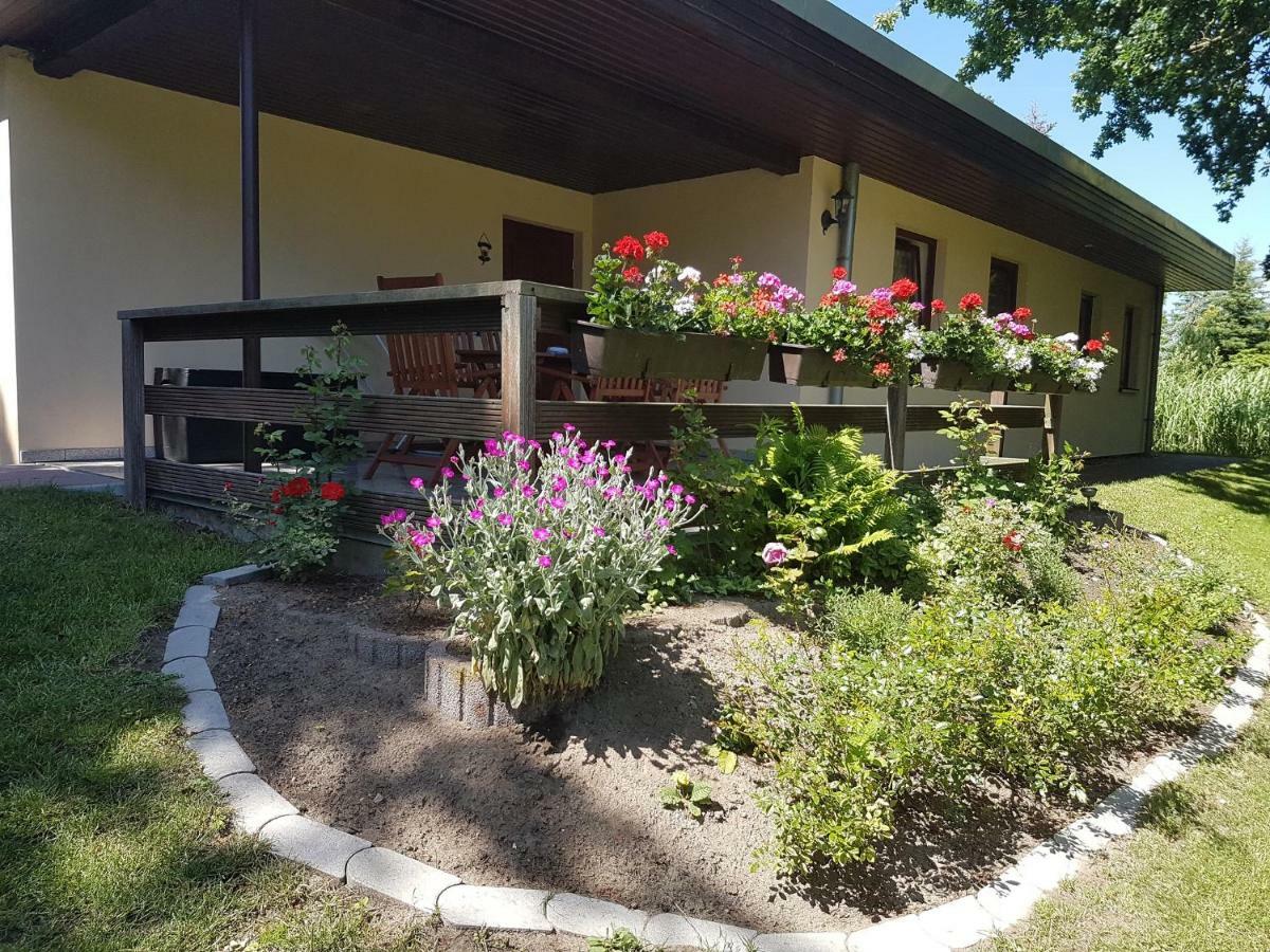 Ferienwohnanlage "Am Bernsteinsee" Apartment เดียร์ฮาเกิน ภายนอก รูปภาพ
